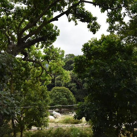 Eco Hostal Kuima 埃尔扎伊诺 外观 照片