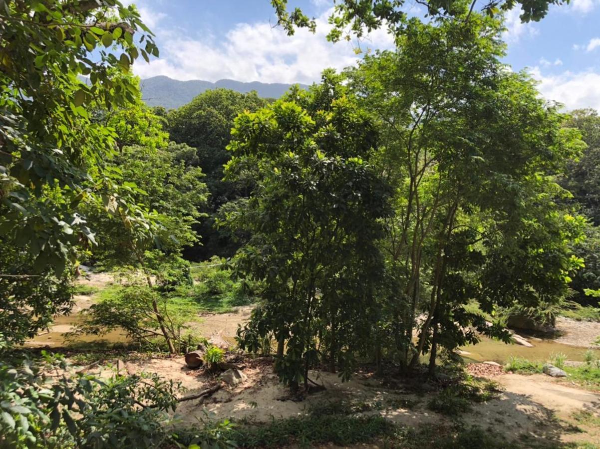 Eco Hostal Kuima 埃尔扎伊诺 外观 照片