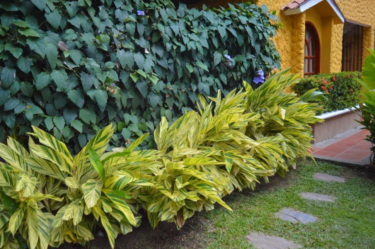 Eco Hostal Kuima 埃尔扎伊诺 外观 照片