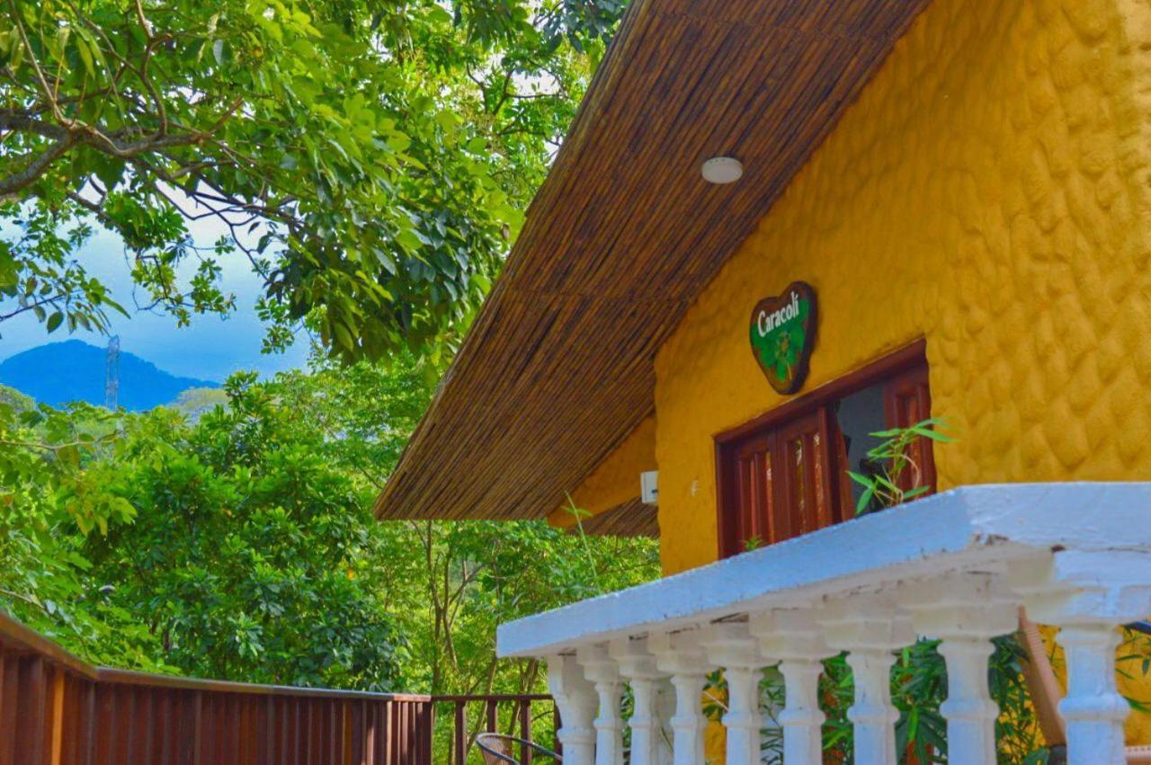 Eco Hostal Kuima 埃尔扎伊诺 外观 照片