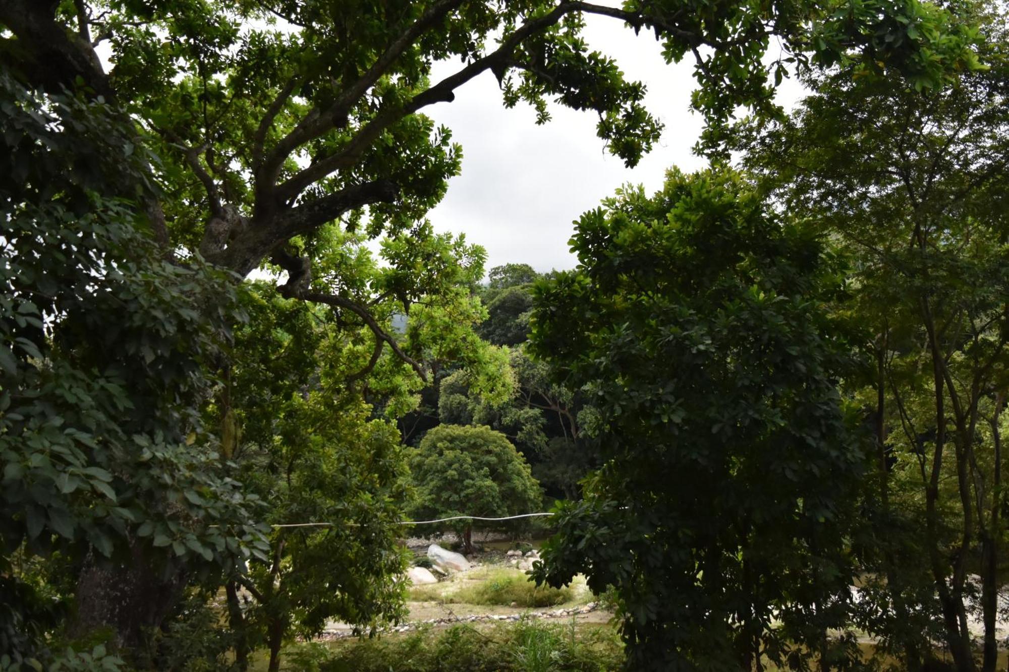 Eco Hostal Kuima 埃尔扎伊诺 外观 照片