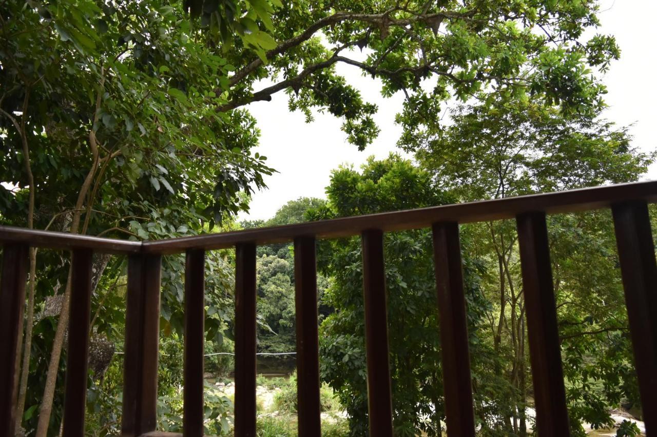 Eco Hostal Kuima 埃尔扎伊诺 外观 照片