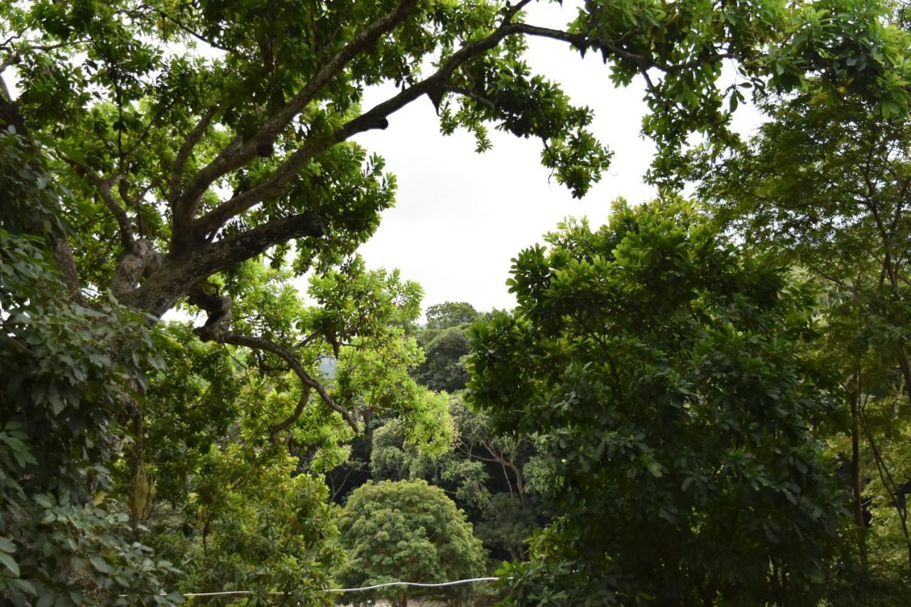 Eco Hostal Kuima 埃尔扎伊诺 外观 照片