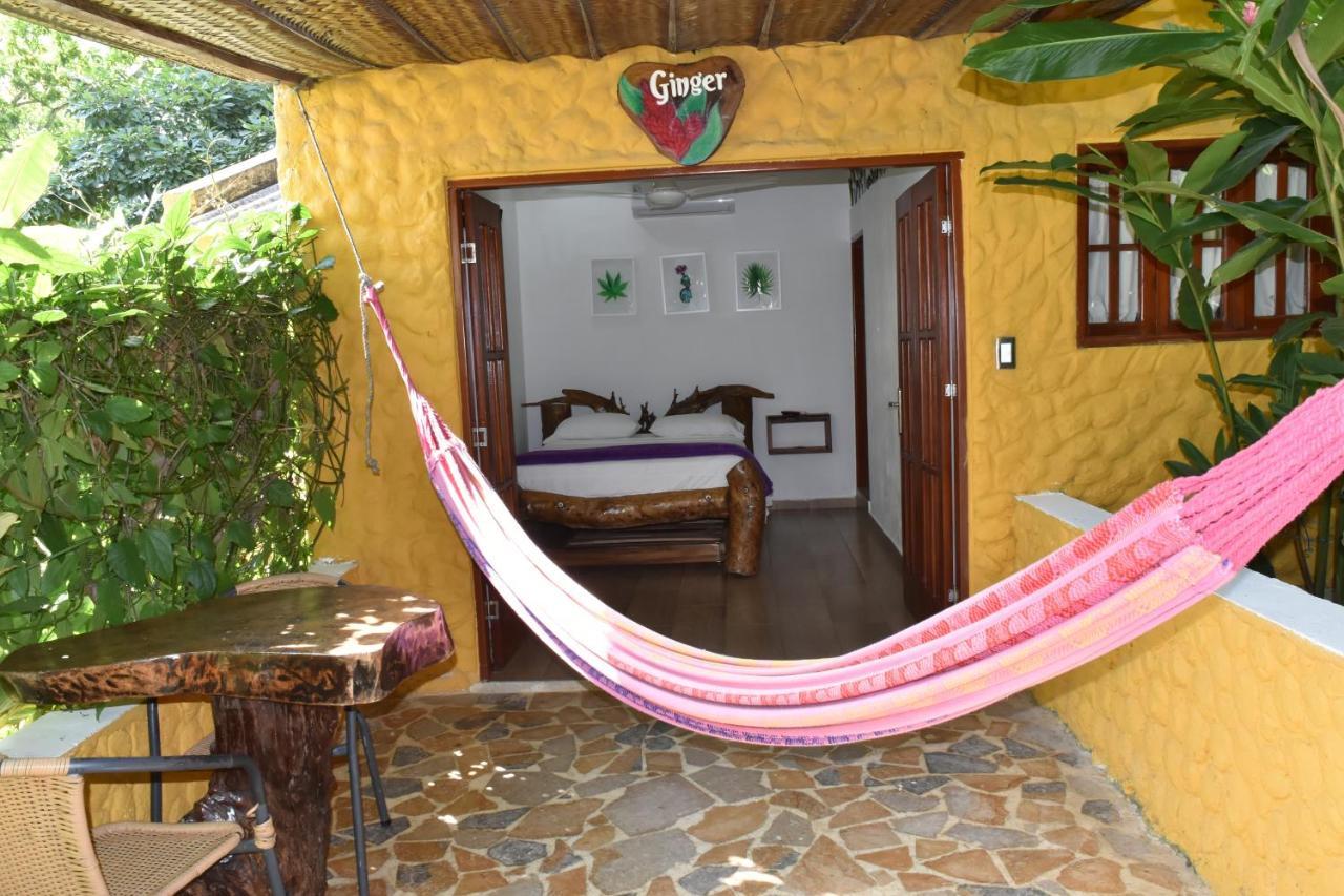 Eco Hostal Kuima 埃尔扎伊诺 外观 照片